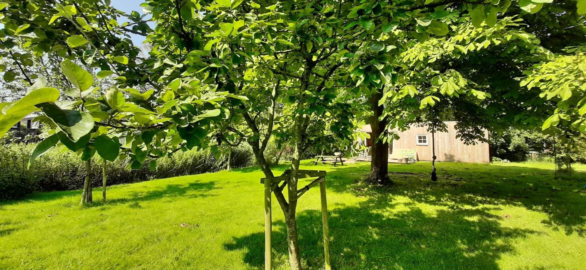 Tobornottob Villa Oosternijkerk Bagian luar foto