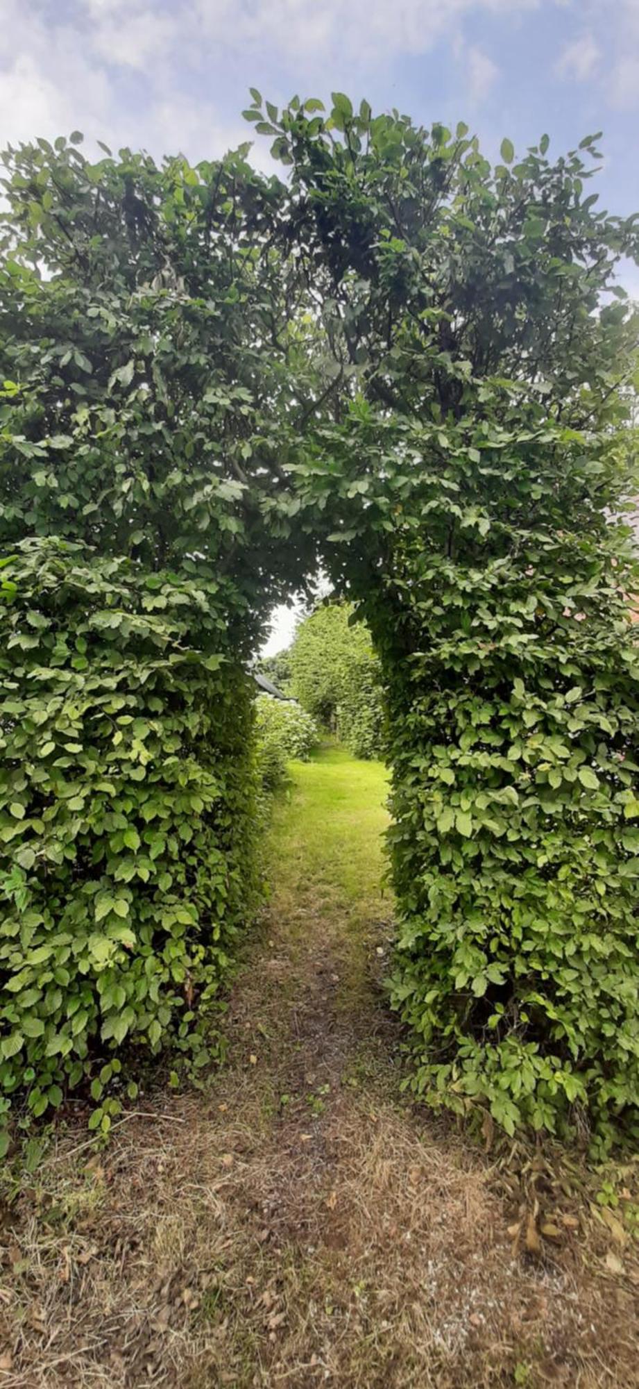 Tobornottob Villa Oosternijkerk Bagian luar foto