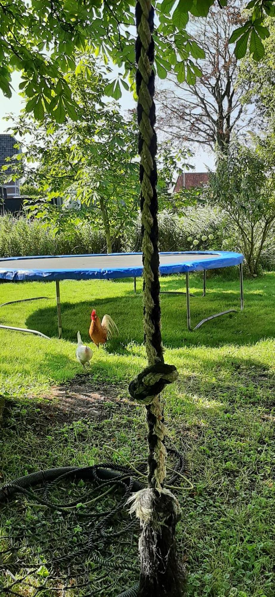 Tobornottob Villa Oosternijkerk Bagian luar foto