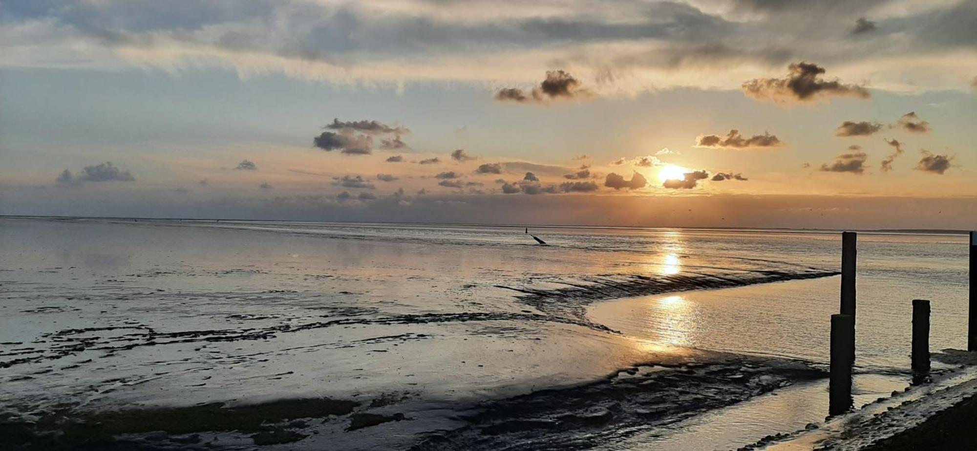 Tobornottob Villa Oosternijkerk Bagian luar foto