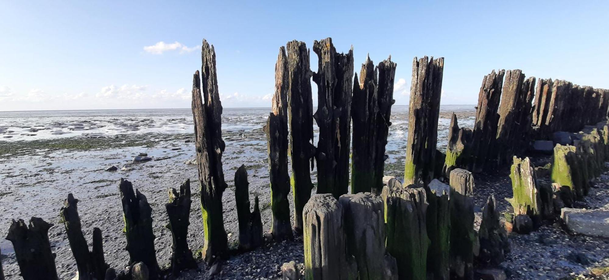Tobornottob Villa Oosternijkerk Bagian luar foto