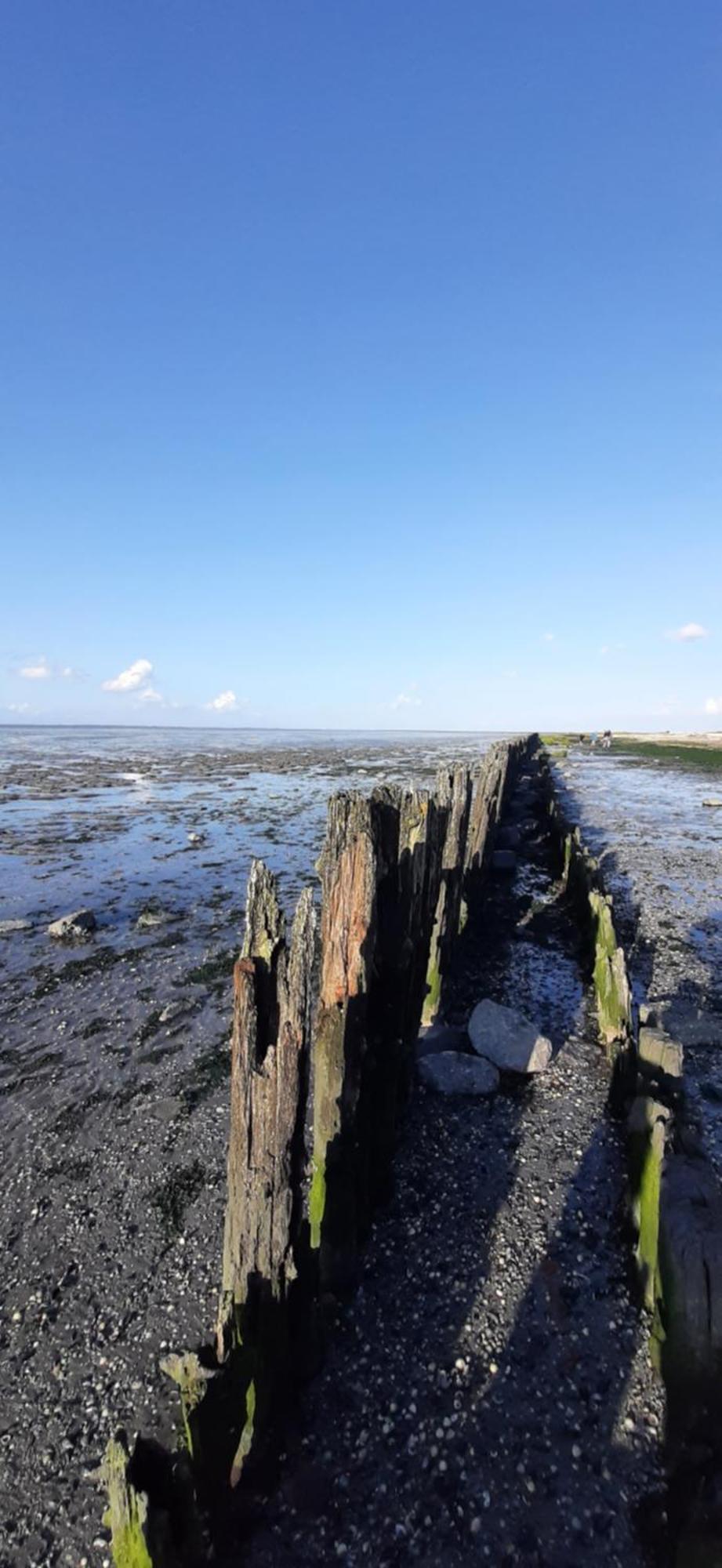 Tobornottob Villa Oosternijkerk Bagian luar foto
