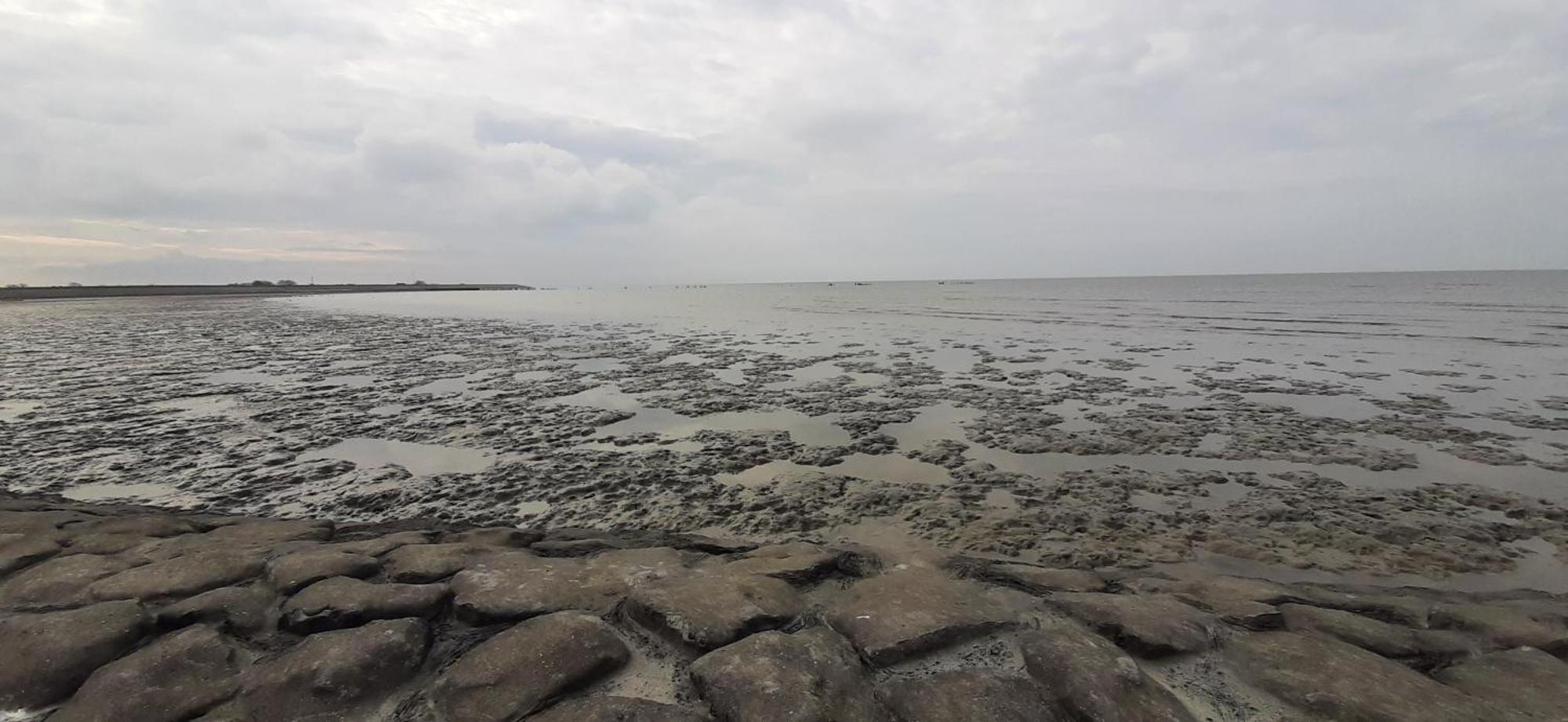 Tobornottob Villa Oosternijkerk Bagian luar foto
